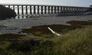 Pudding Creek Trestle